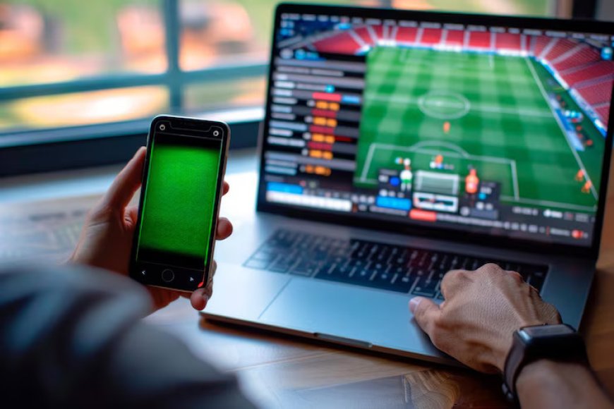 Why Choosing the Right Sportsbook Platform Provider Is Crucial for iGaming Success