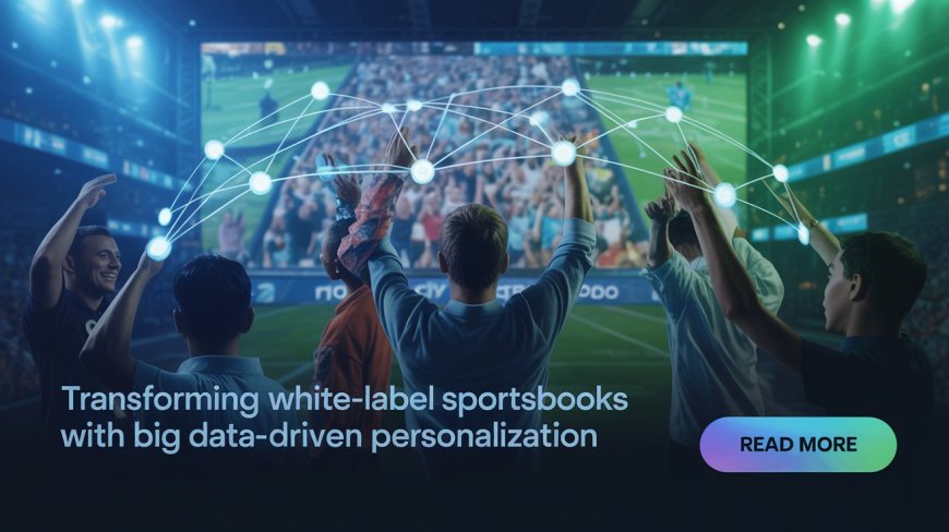 The Role of Big Data in Personalizing User Experience for White-Label Sportsbooks
