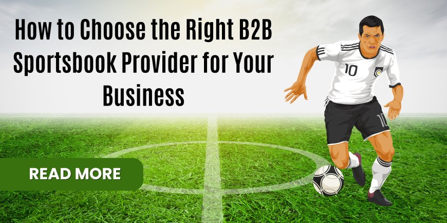 How to Choose the Right B2B Sportsbook Provider for Your Business